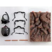 Trading Figure - Ikimono Daizukan