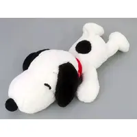 Plush - PEANUTS / Snoopy