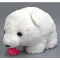 Plush - Marukuma Pola / Pola