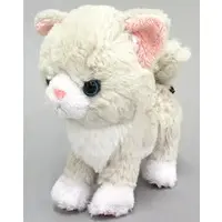 Plush - kitten