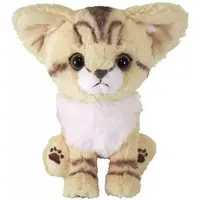 Plush - kitten