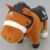 Plush - Thoroughbred collection