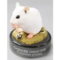 Trading Figure - Hamster's Lunch