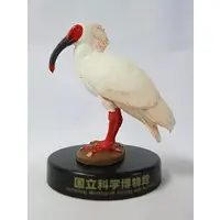 Trading Figure - National Museum of Nature and Science,Tokyo