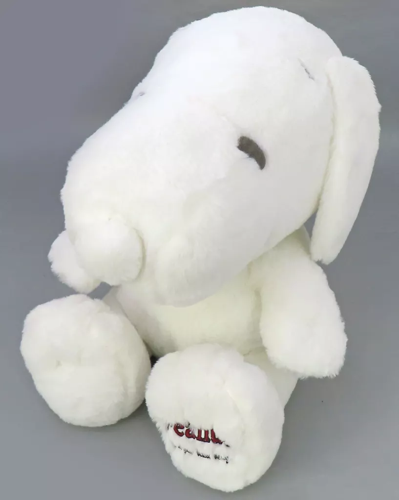 Plush - PEANUTS / Snoopy