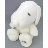Plush - PEANUTS / Snoopy