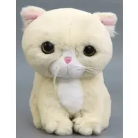 Plush - Cat