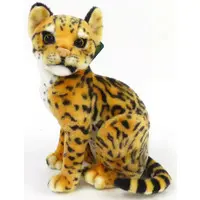 Plush - Real Animals