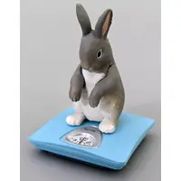 Trading Figure - What's my weight today?