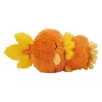 Plush - Pokémon / Torchic (Achamo)