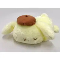 Plush - Sanrio characters / Pom Pom Purin