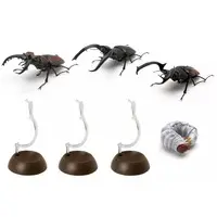 Trading Figure - Ikimono Daizukan