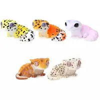 Trading Figure - Ikimono Daizukan