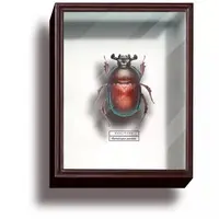 Trading Figure - Science Techni Colour