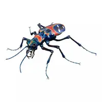 Trading Figure - Ikimono Daizukan