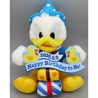 Plush - Disney / Donald Duck