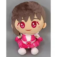 Plush - Momoiro Clover Z / Sasaki Ayaka