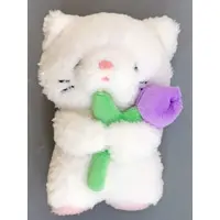 Plush - Message Card - Cat