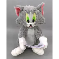 Plush - TOM and JERRY / Tom