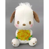Plush - Sanrio / Pochacco