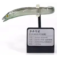 Trading Figure - Primary Color Saltwater Fish Encyclopedia