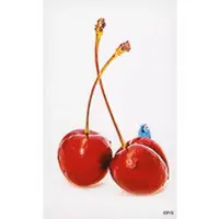 Character Card - PUPPET SUNSUN / Sunsun