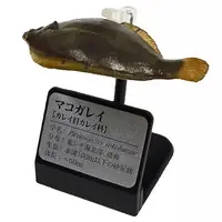 Trading Figure - Primary Color Saltwater Fish Encyclopedia