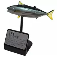 Trading Figure - Primary Color Saltwater Fish Encyclopedia