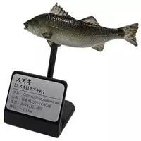 Trading Figure - Primary Color Saltwater Fish Encyclopedia