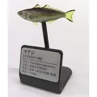 Trading Figure - Primary Color Saltwater Fish Encyclopedia