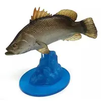 Trading Figure - Japan Aquariums