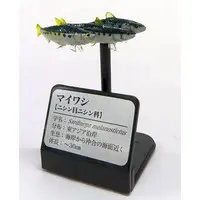 Trading Figure - Primary Color Saltwater Fish Encyclopedia