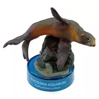 Trading Figure - Enoshima Aquarium