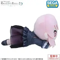 Plush - Project SEKAI: Colorful Stage! feat. Hatsune Miku / Akiyama Mizuki