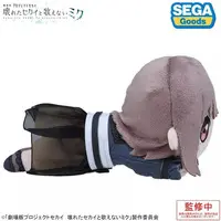 Plush - Project SEKAI: Colorful Stage! feat. Hatsune Miku / Shinonome Ena