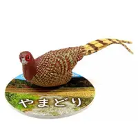 Trading Figure - Nature Technicolor