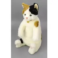 Plush - Cat