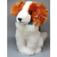 Plush - Kooikerhondje