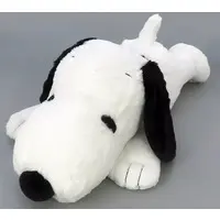 Plush - PEANUTS / Snoopy