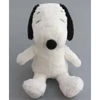 Plush - PEANUTS / Snoopy