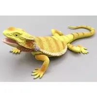 Trading Figure - Playable Creatures Figure Series