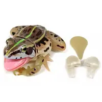 Trading Figure - Ikimono Daizukan