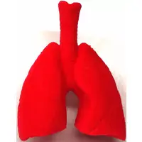 Trading Figure - Purupuru Human Body Model Figurine Mascot