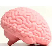 Trading Figure - Purupuru Human Body Model Figurine Mascot