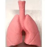 Trading Figure - Purupuru Human Body Model Figurine Mascot