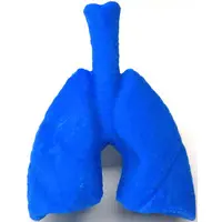 Trading Figure - Purupuru Human Body Model Figurine Mascot