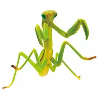 Trading Figure - Playable Creatures Figure Series