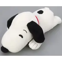Plush - PEANUTS / Snoopy
