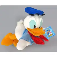Plush - Disney / Donald Duck