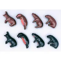 PUTITTO - Pygmy hippopotamus